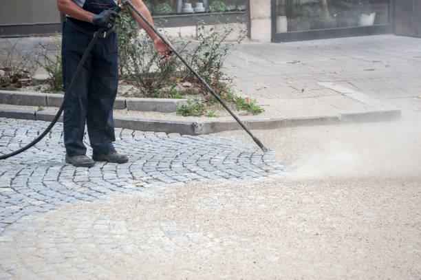Best Driveway Pressure Washing  in Hornsby Bend, TX