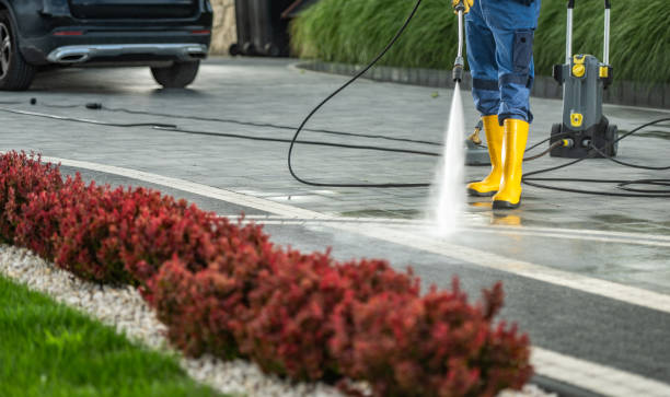 Best Soft Washing  in Hornsby Bend, TX